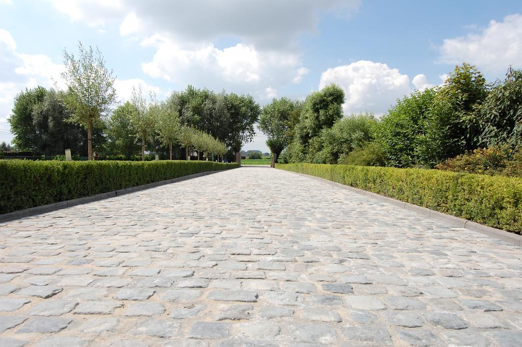 B&B Cottage Sandfort Zandvoorde  エクステリア 写真
